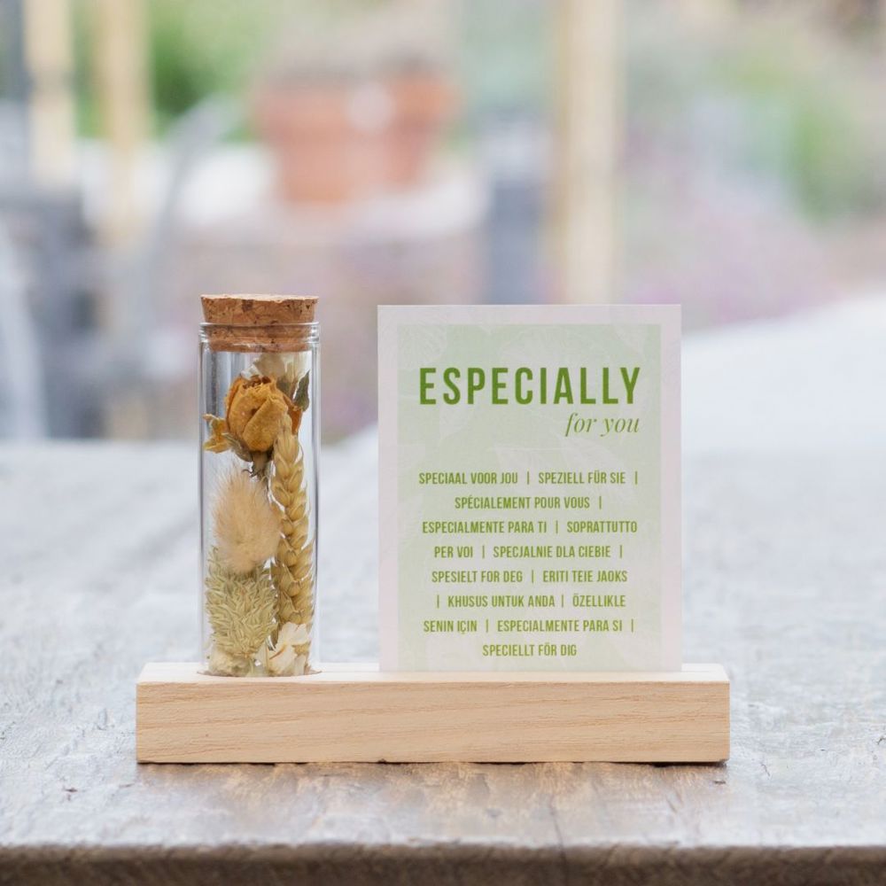 Dried Flowers - Cardholder & tube, Geel