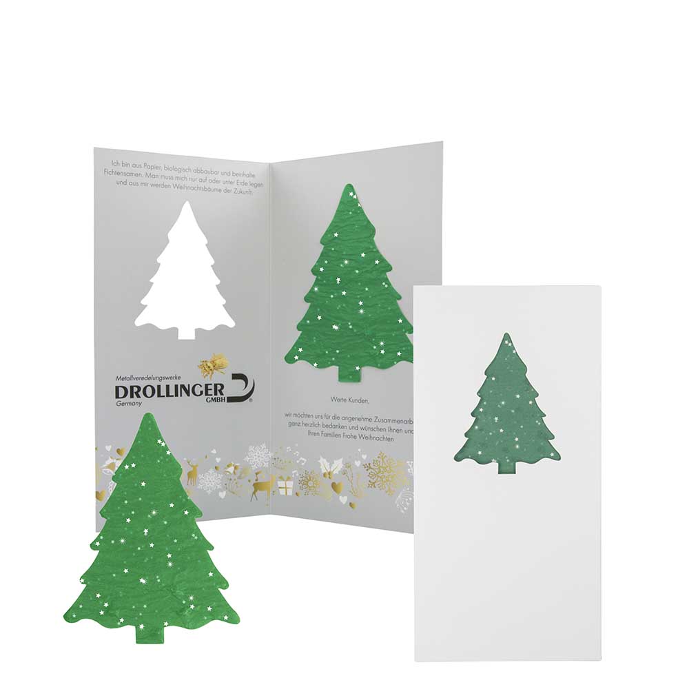 Kerstkaart met kerstboom groeipapier - Spar - 4/0- c