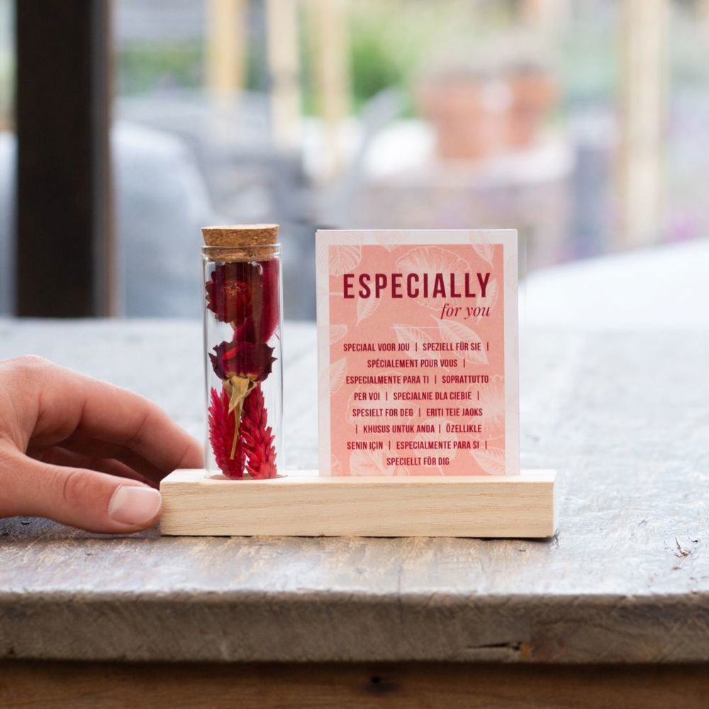 Dried Flowers - Cardholder & tube, Geel