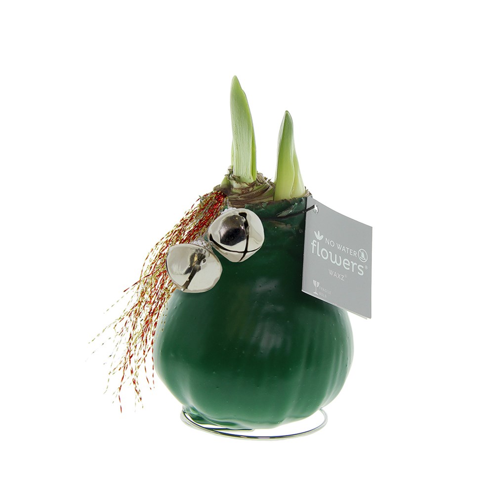 No Water Flowers® - Jingle Bellz, Zonder verpakking, Pastel roze - donkergroen